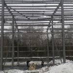 Новосвердловская ТЭЦ из металлоконструкций в Сургуте по выгодной цене фото 16